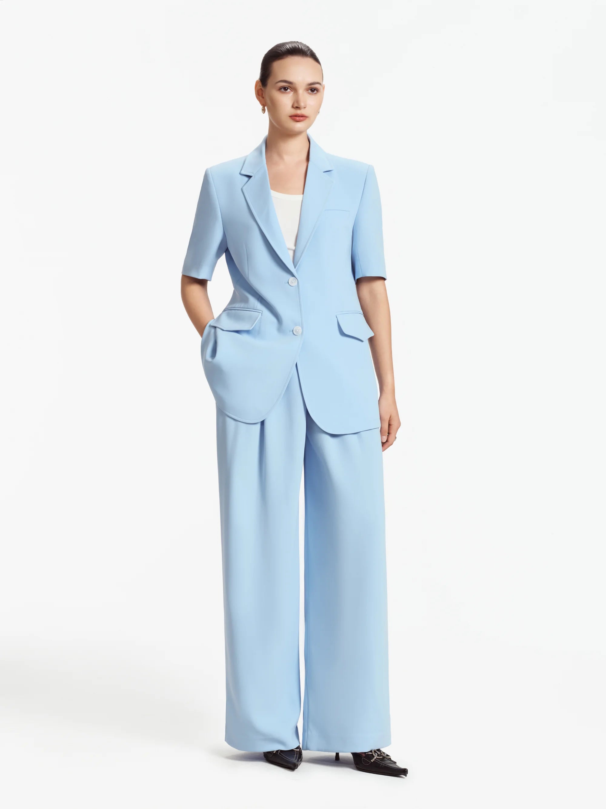 Camille Pleated Wide-Leg Trousers (Baby Blue)