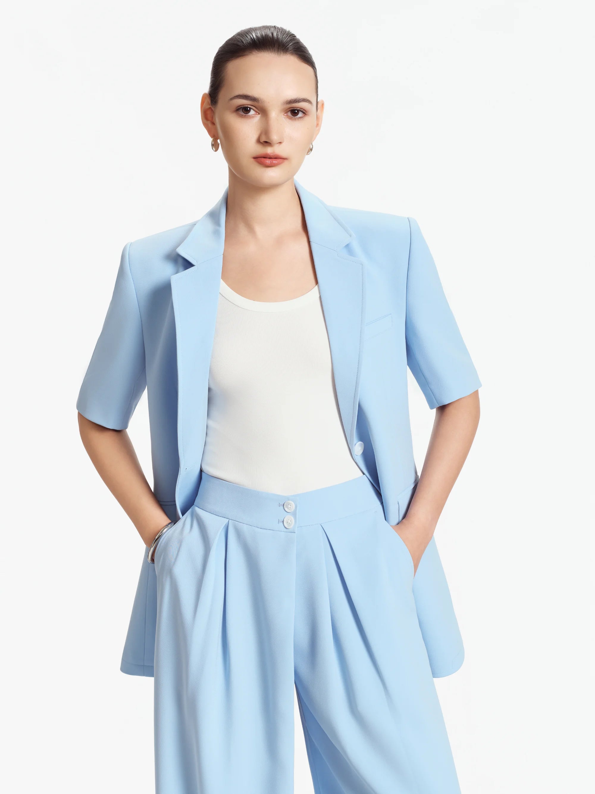 Camille Pleated Wide-Leg Trousers (Baby Blue)